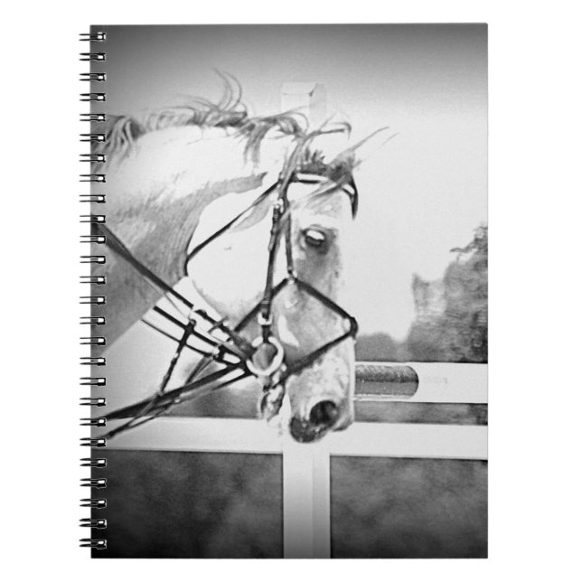 Carnet Anglais Horse Note book (Devant)