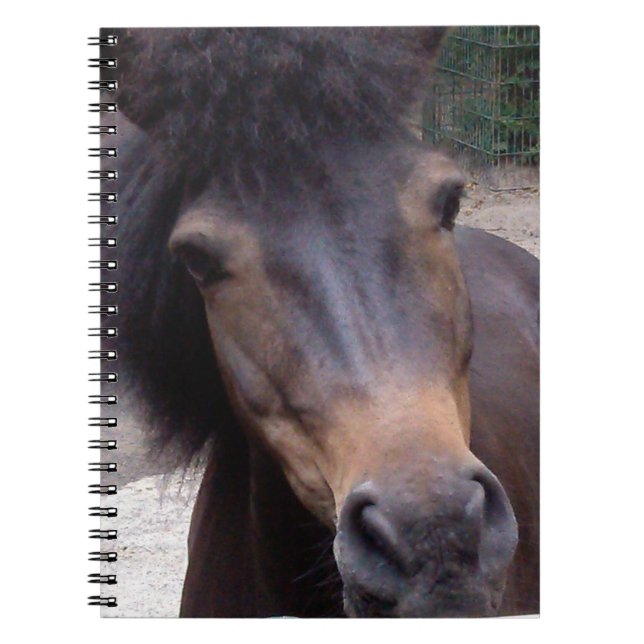 Carnet Animal, Cheval, Pony (Devant)