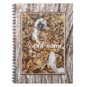 Carnet animal de compagnie photo collage moderne