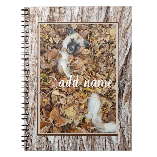 Carnet animal de compagnie photo collage moderne (Devant)