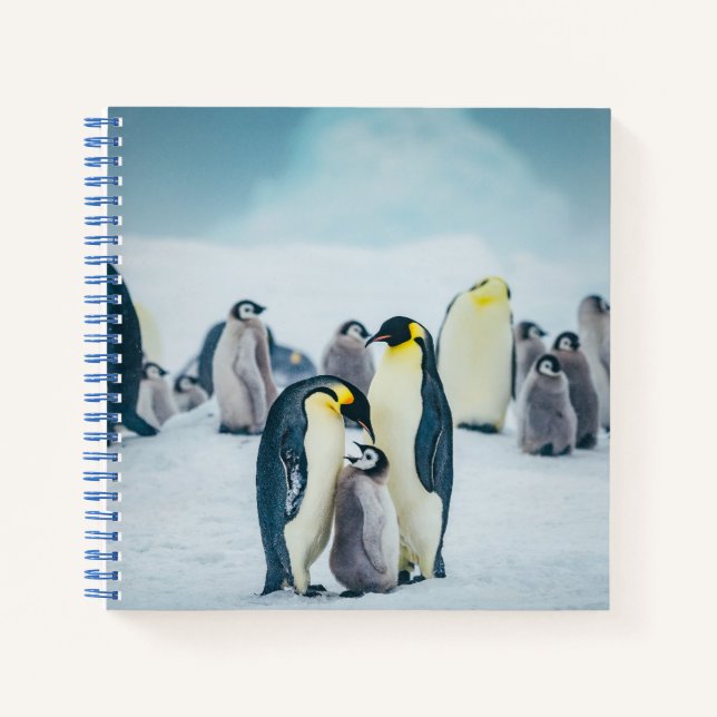 Carnet Animaux de bébés cutest | Alimentation de pingouin (Devant)