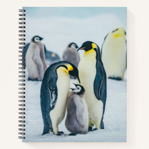 Carnet Animaux de bébés cutest Alimentation de pingouin