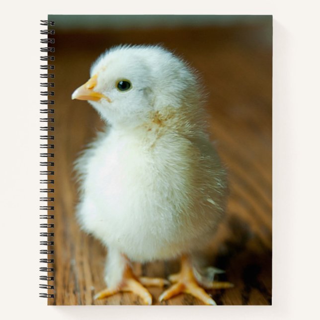 Carnet Animaux de bébés cutest | Baby Chick (Devant)