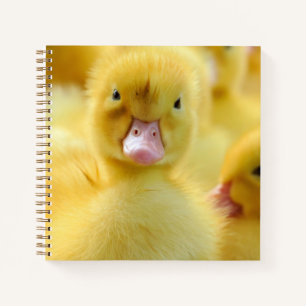 Carnet Animaux de bébés cutest   Baby Duck Group
