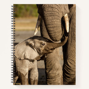 Carnet Animaux de bébés cutest Baby Elephant & Mama