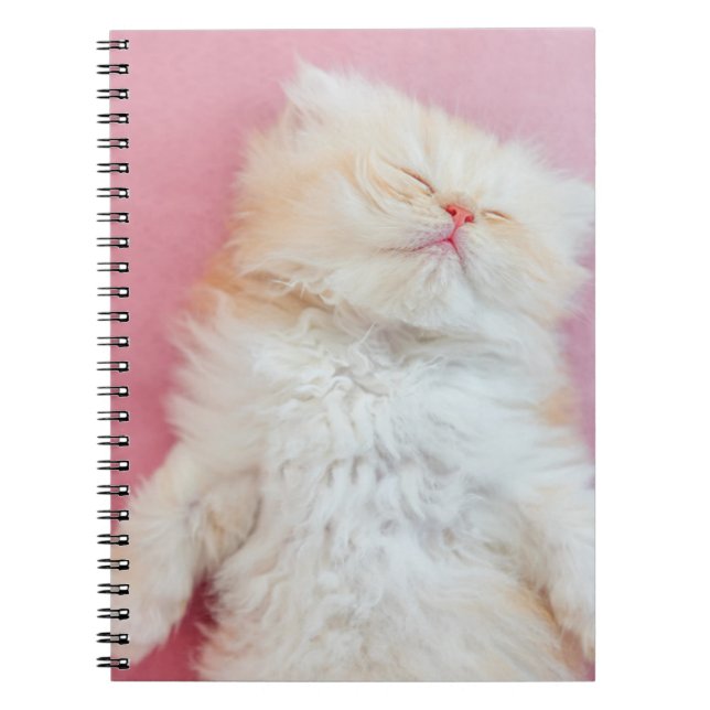 Carnet Animaux de bébés cutest | Belle Chaton Dormir (Devant)