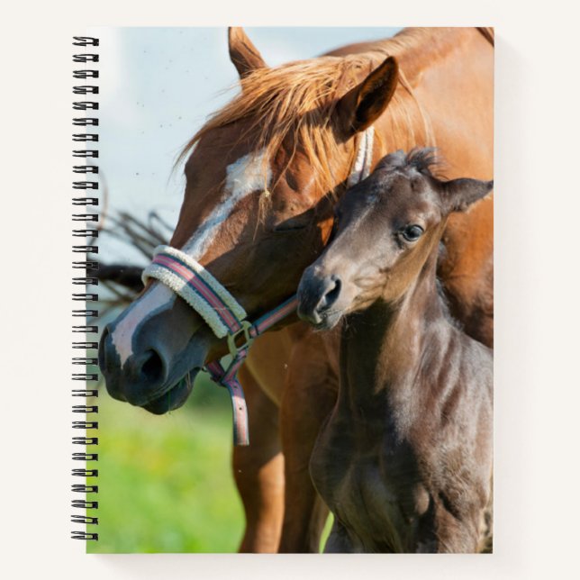 Carnet Animaux de bébés cutest | Black Foy avec maman (Devant)