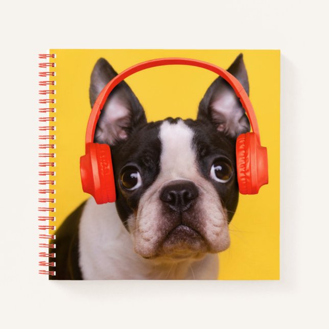 Carnet Animaux de bébés cutest | Casques Terrier de Bosto (Devant)