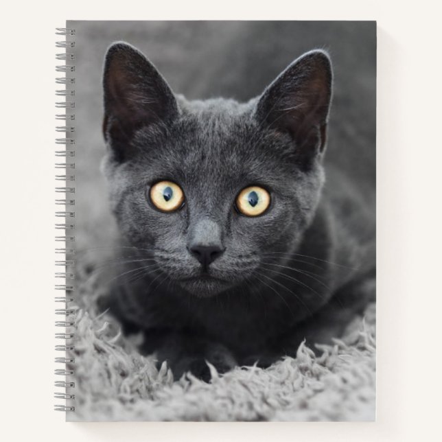 Carnet Animaux de bébés cutest | Chat gris (Devant)