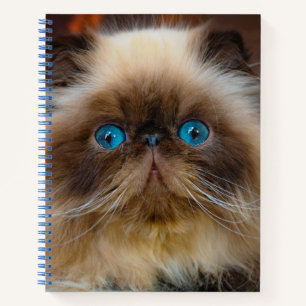 Carnet Animaux de bébés cutest Chat himalayen