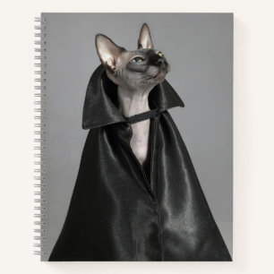Carnet Animaux de bébés cutest Chat sans poil Sphynx