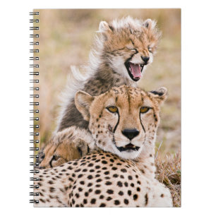 Carnet Animaux de bébés cutest Cheetah Cat & Cub