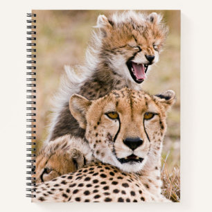 Carnet Animaux de bébés cutest Cheetah Cat & Cub