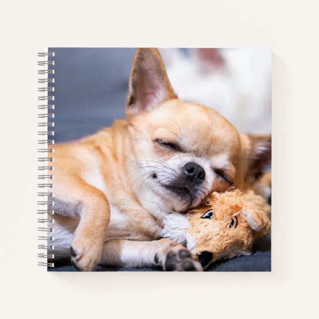 Carnet Animaux de bébés cutest | Chihuahua Chig aux cheve (Devant)