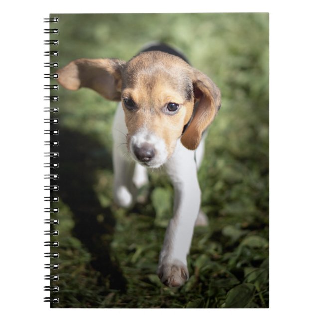 Carnet Animaux de bébés cutest | Chiot Beagle (Devant)