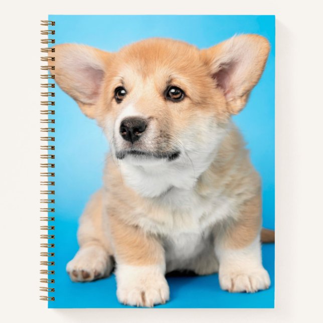 Carnet Animaux de bébés cutest | Chiot de Corgi en bleu (Devant)