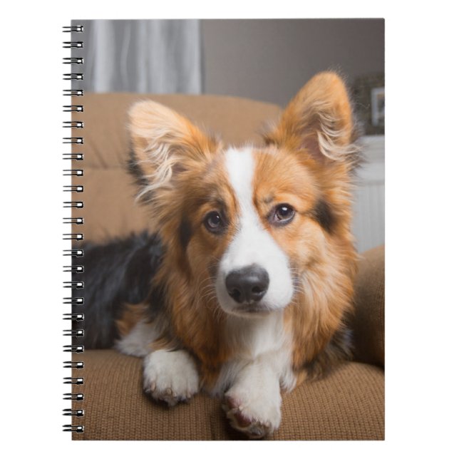 Carnet Animaux de bébés cutest | Coiffeuse à cheveux long (Devant)