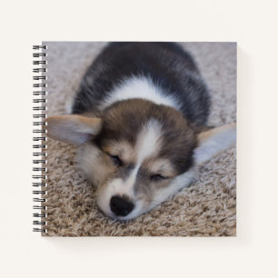 Carnet Animaux de bébés cutest Corgi Chiot sur Shag Rug