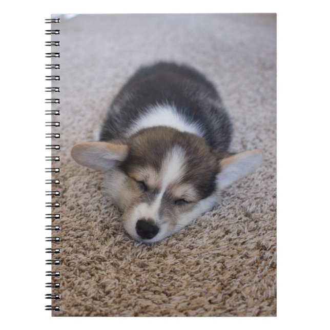Carnet Animaux de bébés cutest | Corgi Chiot sur Shag Rug (Devant)