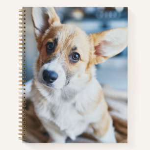 Carnet Animaux de bébés cutest   Corgi Head Tilt