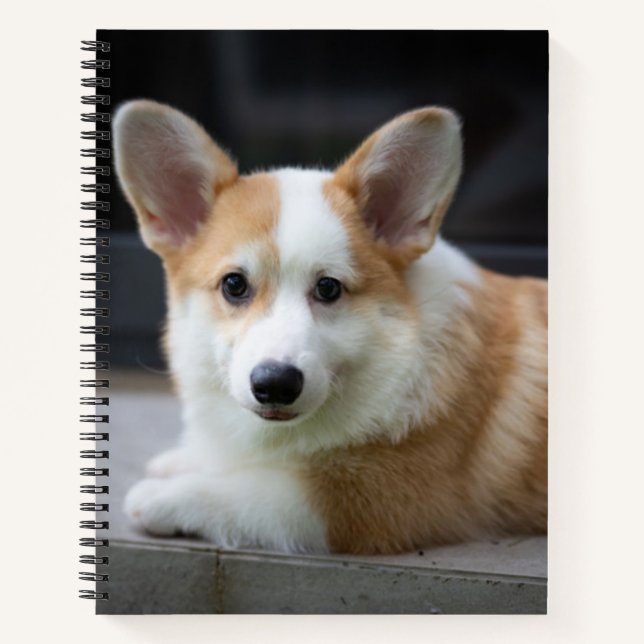 Carnet Animaux de bébés cutest | Corgi Puppy Relaxant (Devant)