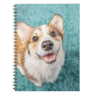 Carnet Animaux de bébés cutest   Cute Corgi Puppy Smile
