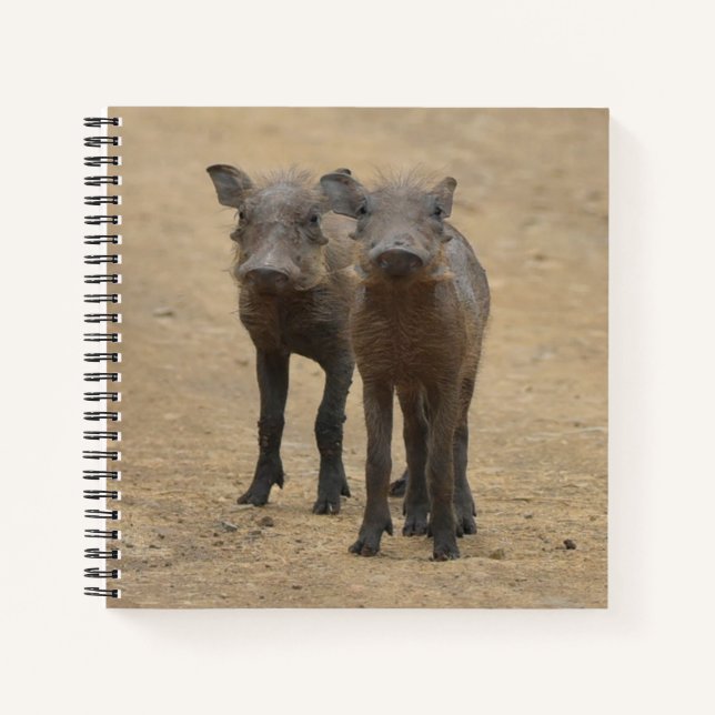 Carnet Animaux de bébés cutest | Deux jeunes phacochères (Devant)