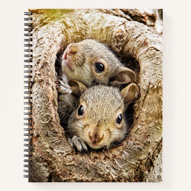 Carnet Animaux de bébés cutest | Écureuils curieux (Devant)