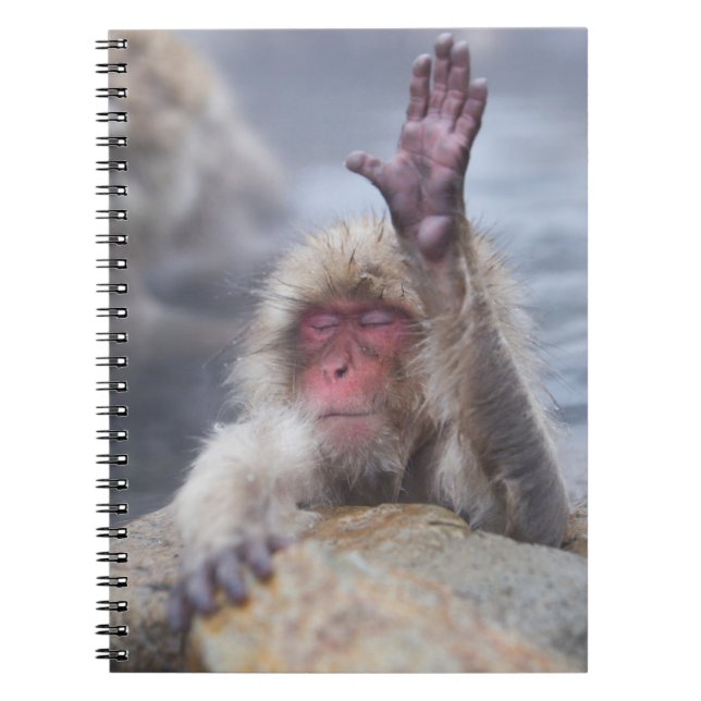 Carnet Animaux de bébés cutest | Face de singe de neige (Devant)