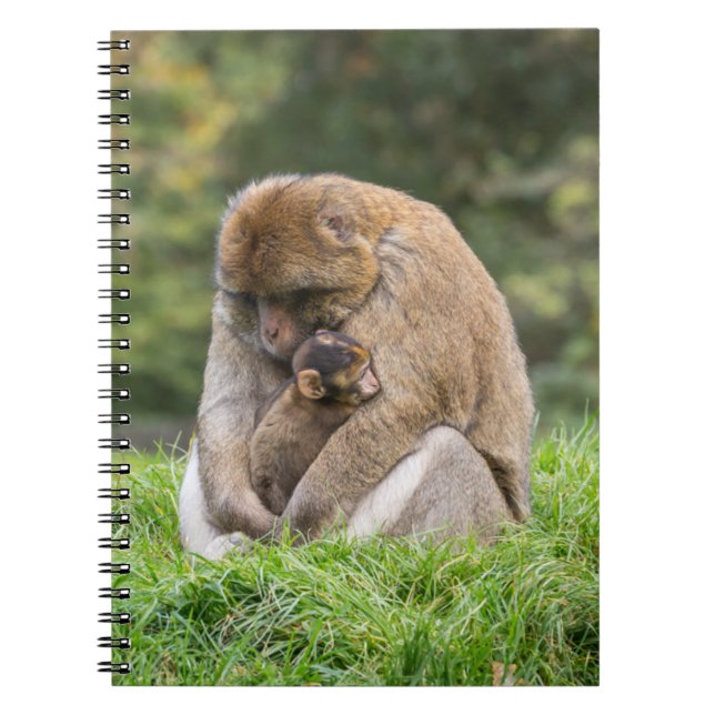 Carnet Animaux de bébés cutest | Famille Barbary Macaque (Devant)
