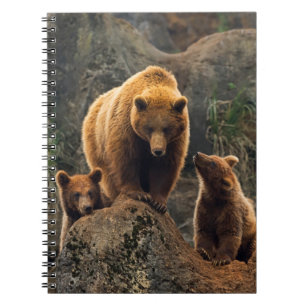 Carnet Animaux de bébés cutest Famille d'ours Brown