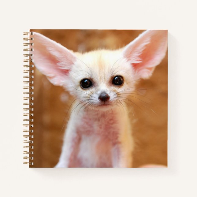 Carnet Animaux de bébés cutest | Fennec Fox (Devant)