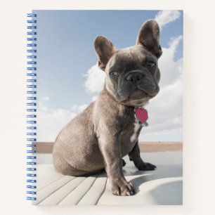 Carnet Animaux de bébés cutest French Bulldog Booking