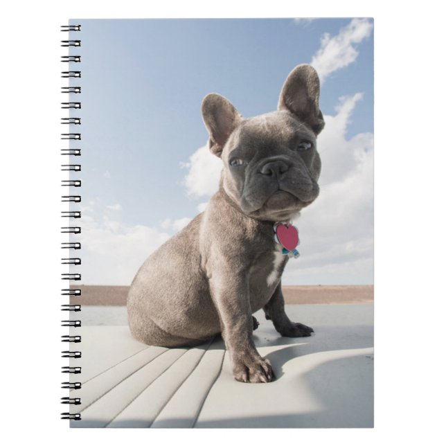 Carnet Animaux de bébés cutest | French Bulldog Booking (Devant)