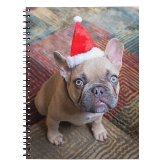 Carnet Animaux de bébés cutest | French Bulldog Christmas (Devant)