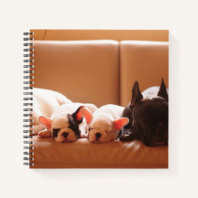Carnet Animaux de bébés cutest | French Bulldog Family (Devant)
