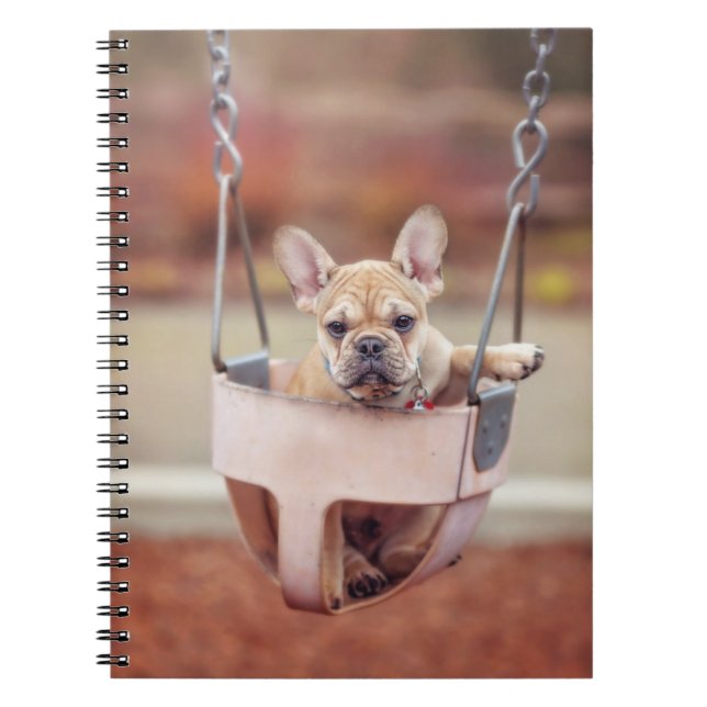 Carnet Animaux de bébés cutest | French Bulldog Playgroun (Devant)