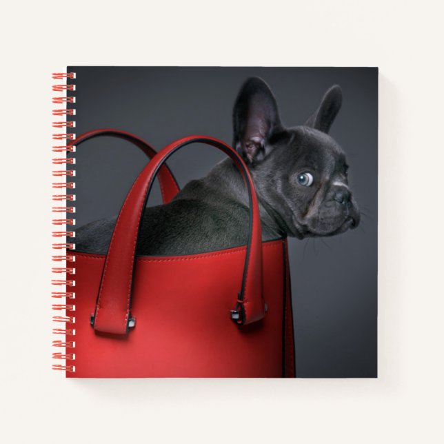 Carnet Animaux de bébés cutest | French Bulldog Red Hand  (Devant)