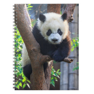 Carnet Animaux de bébés cutest Géant Panda Cub
