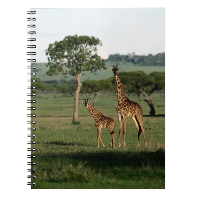 Carnet Animaux de bébés cutest | Giraffe Calf & Mama (Devant)