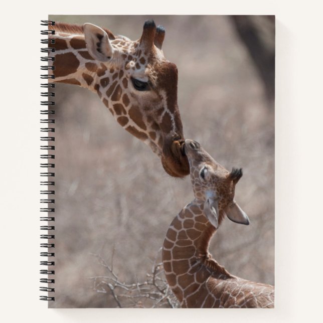 Carnet Animaux de bébés cutest | Giraffe mère et bébé (Devant)