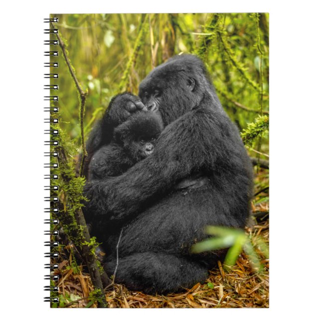 Carnet Animaux de bébés cutest | Gorilla & bébé (Devant)