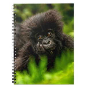 Carnet Animaux de bébés cutest Gorille des Montagnes In