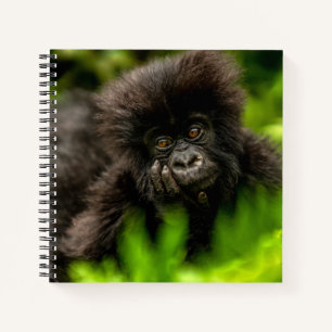 Carnet Animaux de bébés cutest Gorille des Montagnes In