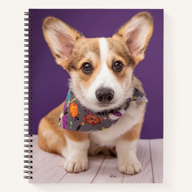 Carnet Animaux de bébés cutest | Halloween Corgi (Devant)