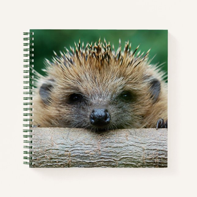 Carnet Animaux de bébés cutest | Hedgehog Smile (Devant)