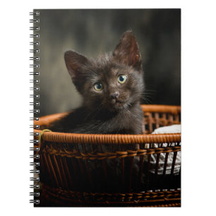 Carnet Animaux de bébés cutest Kitten dans le panier