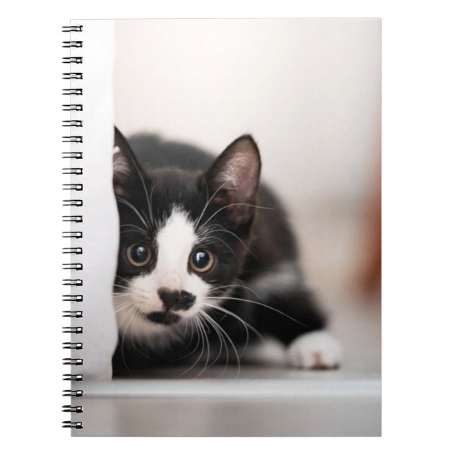 Carnet Animaux de bébés cutest | Kitten noir et blanc (Devant)