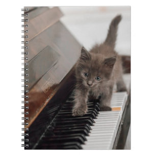 Carnet Animaux de bébés cutest Kitten sur piano