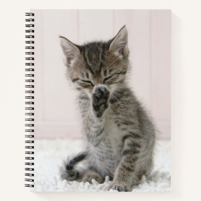 Carnet Animaux de bébés cutest | Licking Tabby Kitten (Devant)